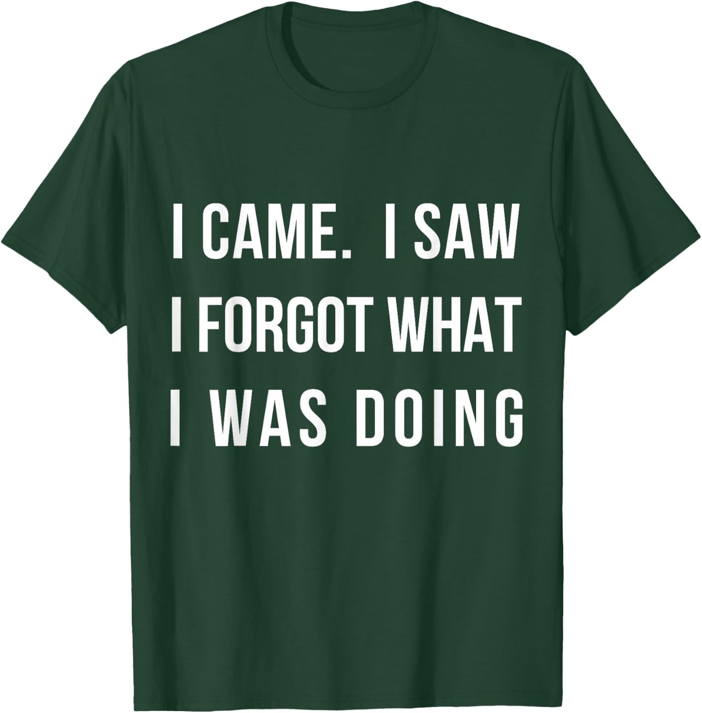 I Came I Saw I Forgot What I was Doing Sarcastic Small T-Shirt - T-Shirt | Forest