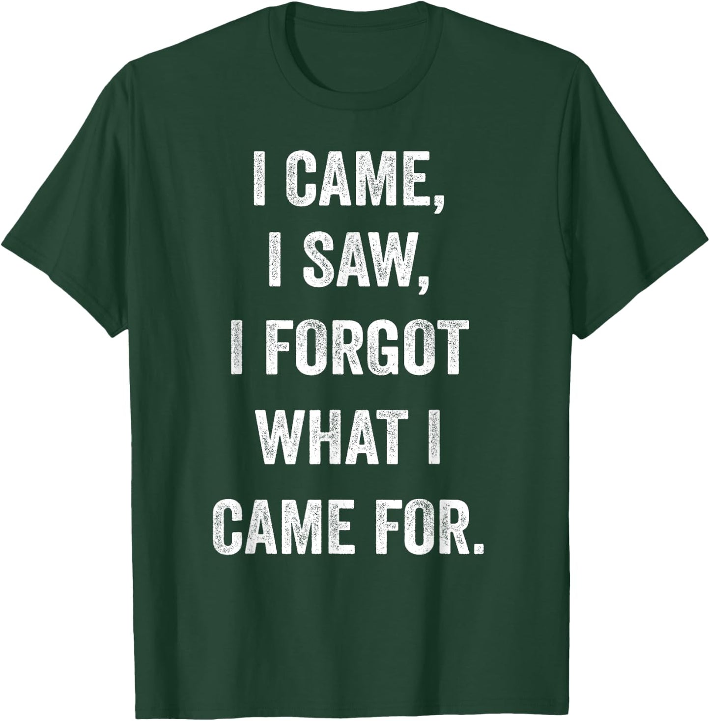 I came, I saw, I forgot what I came for funny novel sarcasm T-Shirt - T-Shirt | Forest