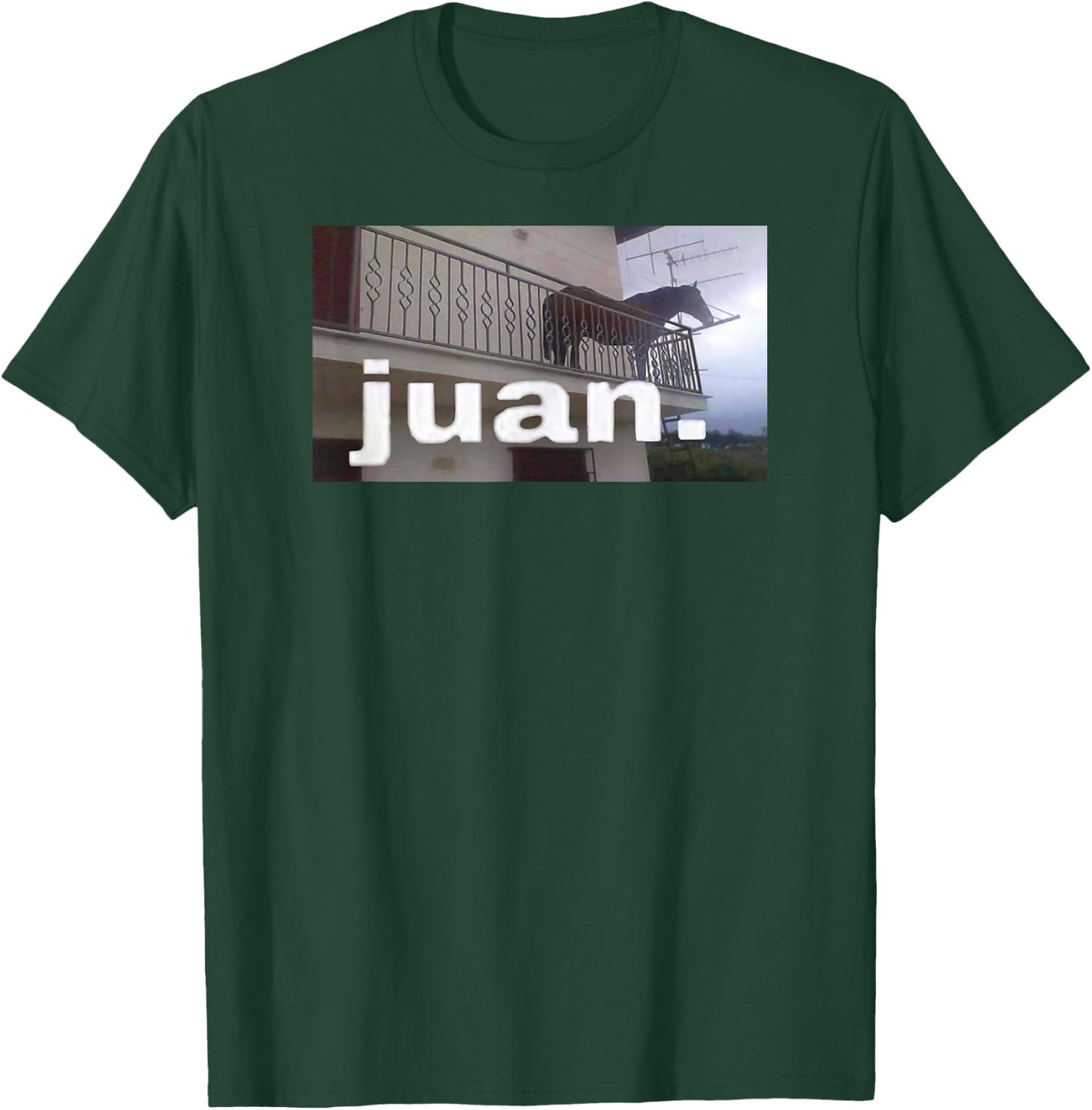 Juan Horse Meme on Balcony T-Shirt - T-Shirt | Forest
