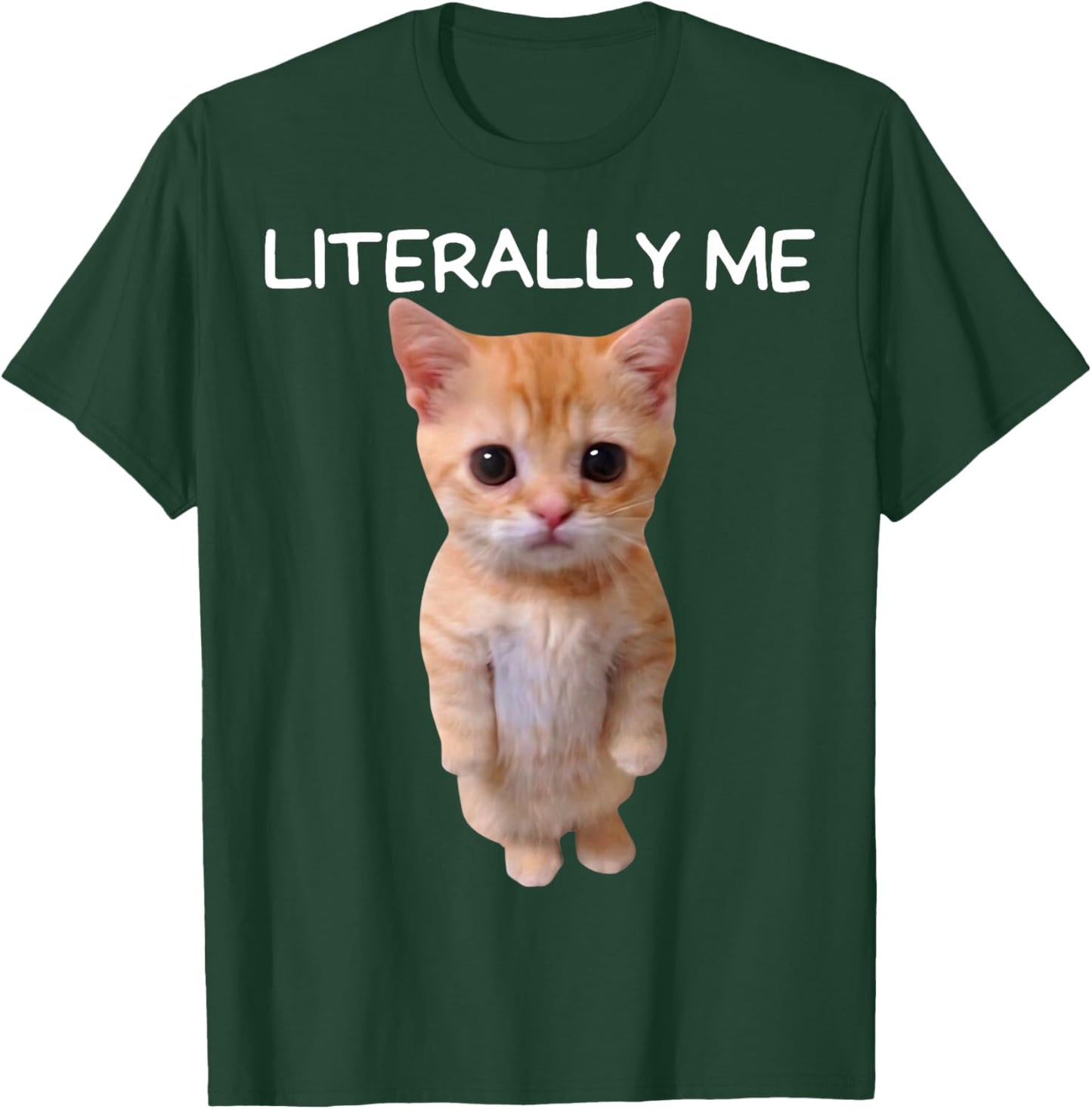 Literally Me Cat Meme Funny Memes Internet Memes Gen Z Joke T-Shirt - T-Shirt | Forest