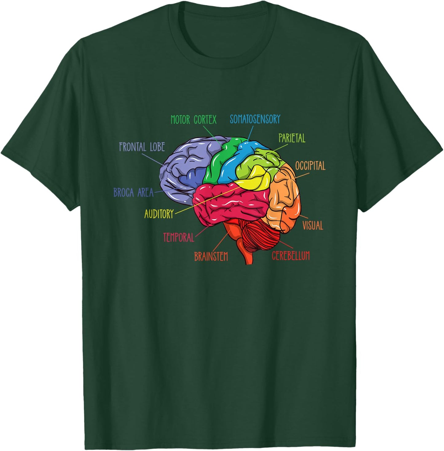 Anatomy Of The Brain Neurologist Gift T-Shirt - T-Shirt | Forest
