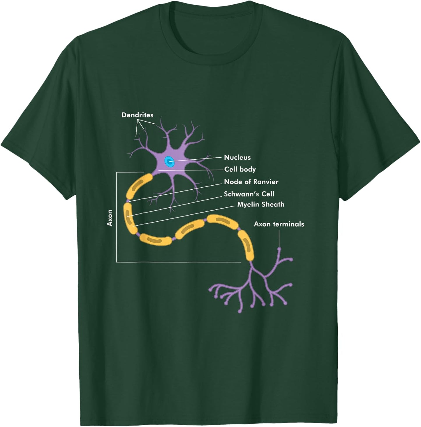 Anatomy of Neuron Neurologist Gift T-Shirt - T-Shirt | Forest