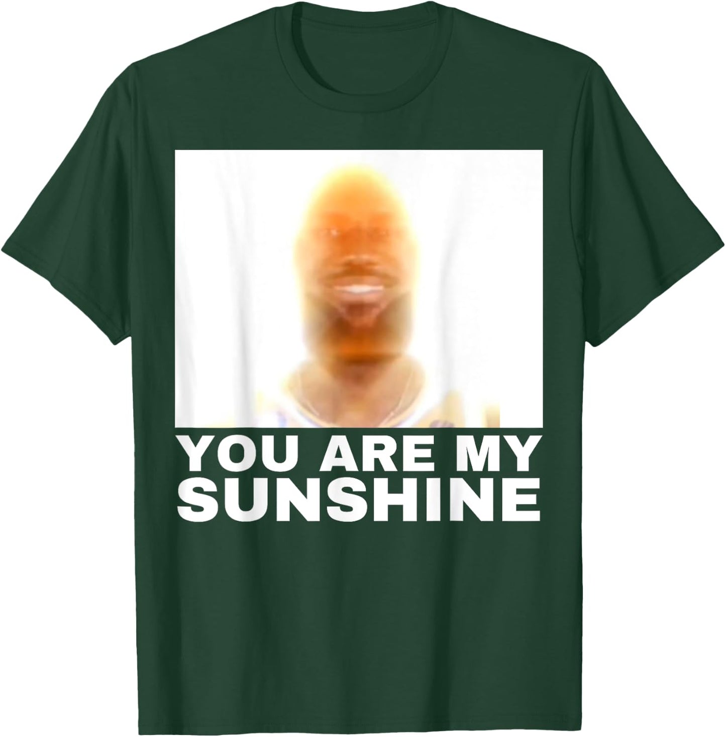 You are My Sunshine Meme T-Shirt - T-Shirt | Forest
