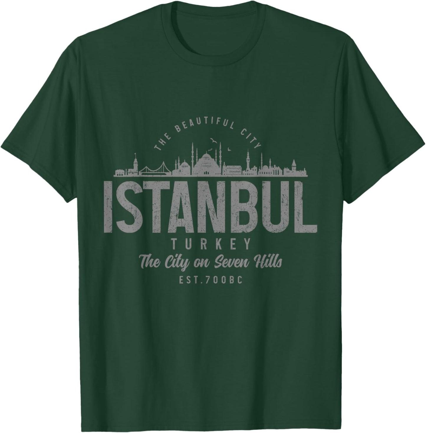 Istanbul Skyline Turkey Turkish Pride Souvenir Turkiye T-Shirt - T-Shirt | Forest