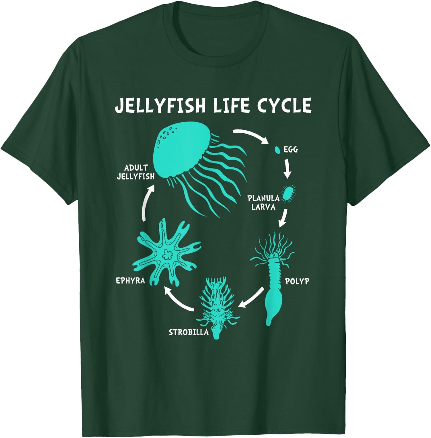 Life Cycle Of A Jellyfish T-Shirt - T-Shirt | Forest