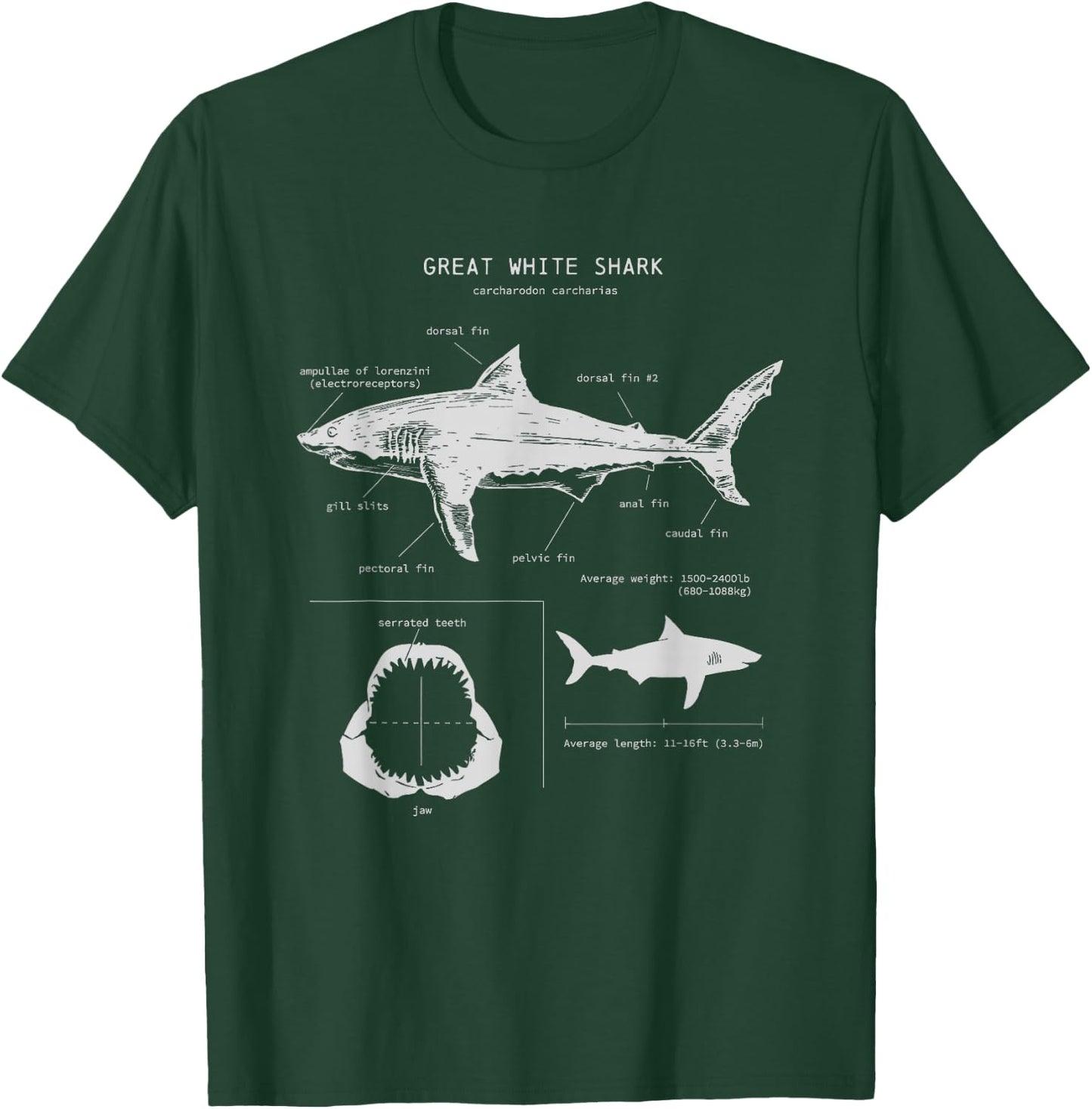 Great White Shark Anatomy , Marine Biologist T-Shirt - T-Shirt | Forest