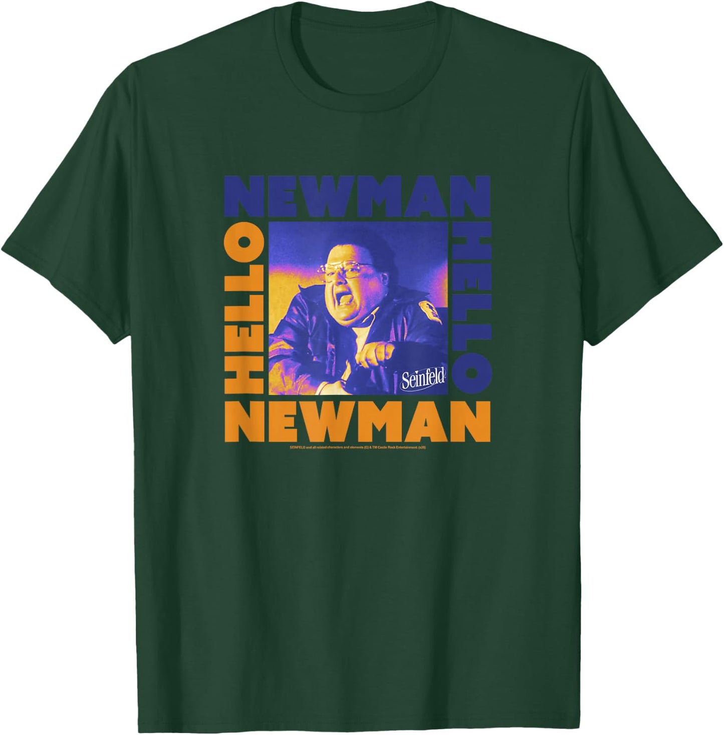 Seinfeld Newman Hello Newman Box Up T-Shirt - T-Shirt | Forest