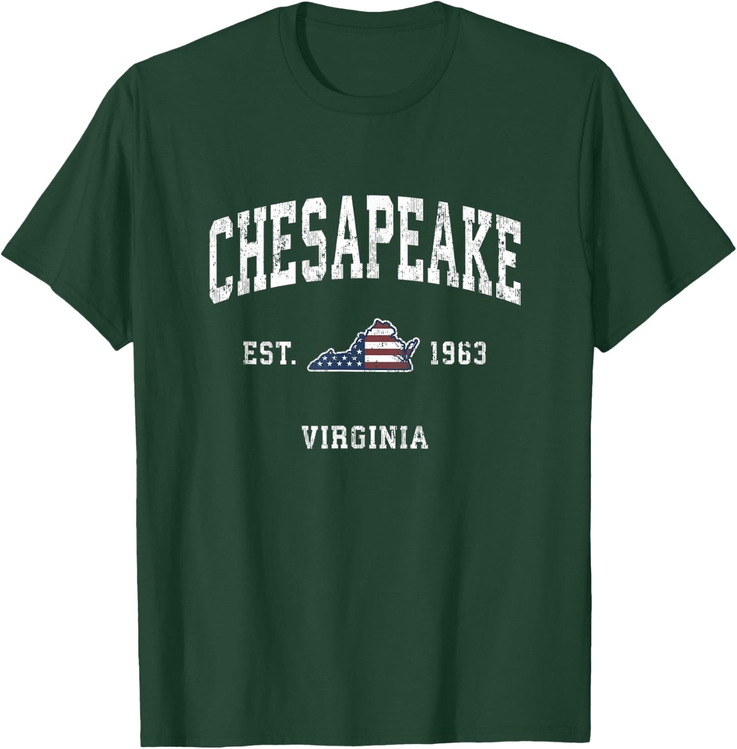 Chesapeake Virginia VA Vintage American Flag Sports Design Women Kids Men T-Shirt - T-Shirt | Forest