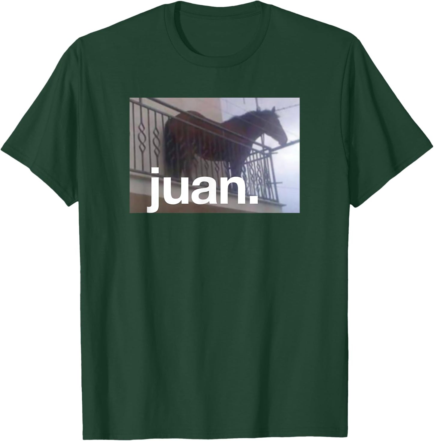 Juan Meme Horse On Balcony Meme T-Shirt - T-Shirt | Forest