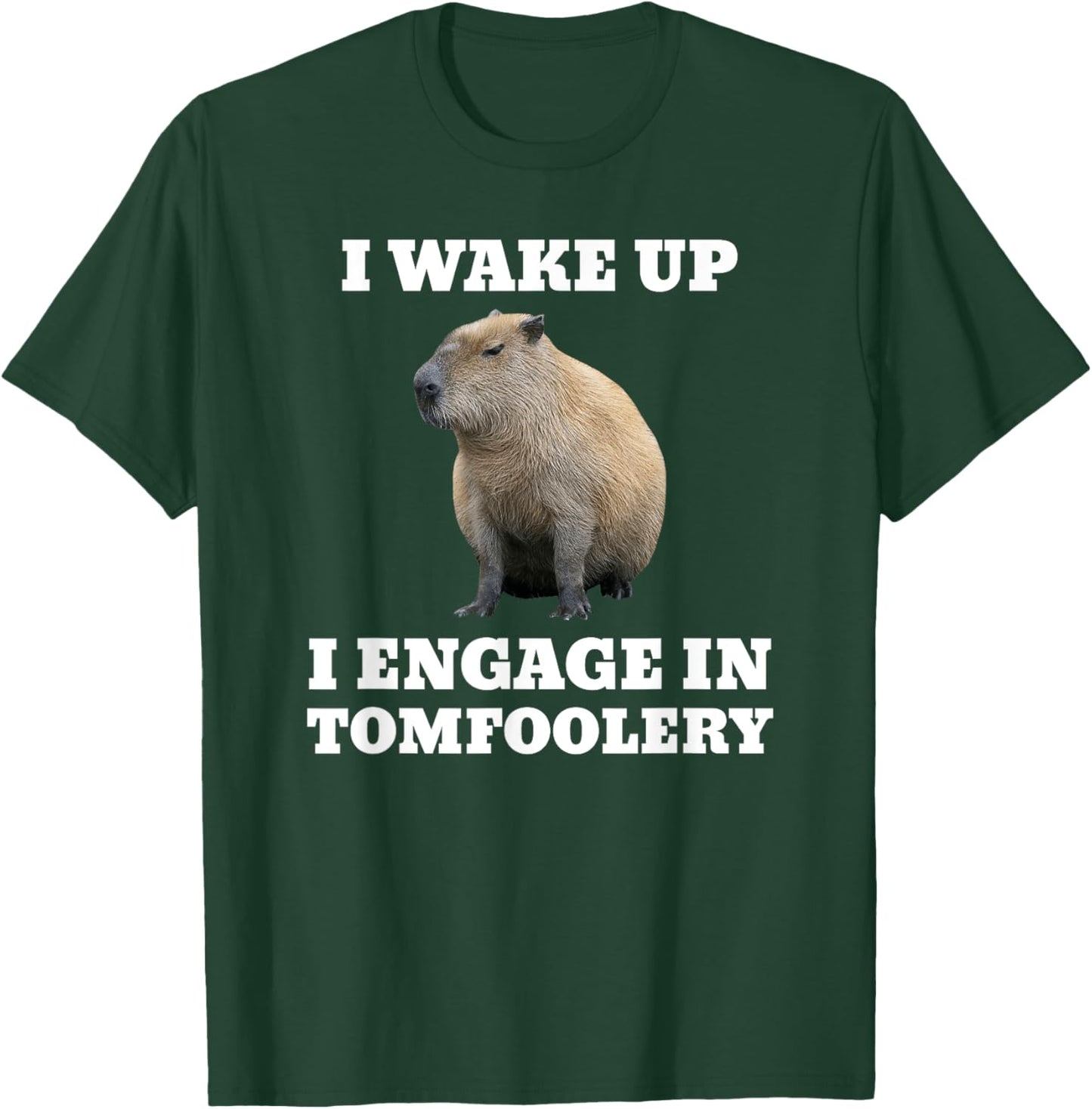 I Wake Up I Engage In Tomfoolery Meme Capybara T-Shirt - T-Shirt | Forest