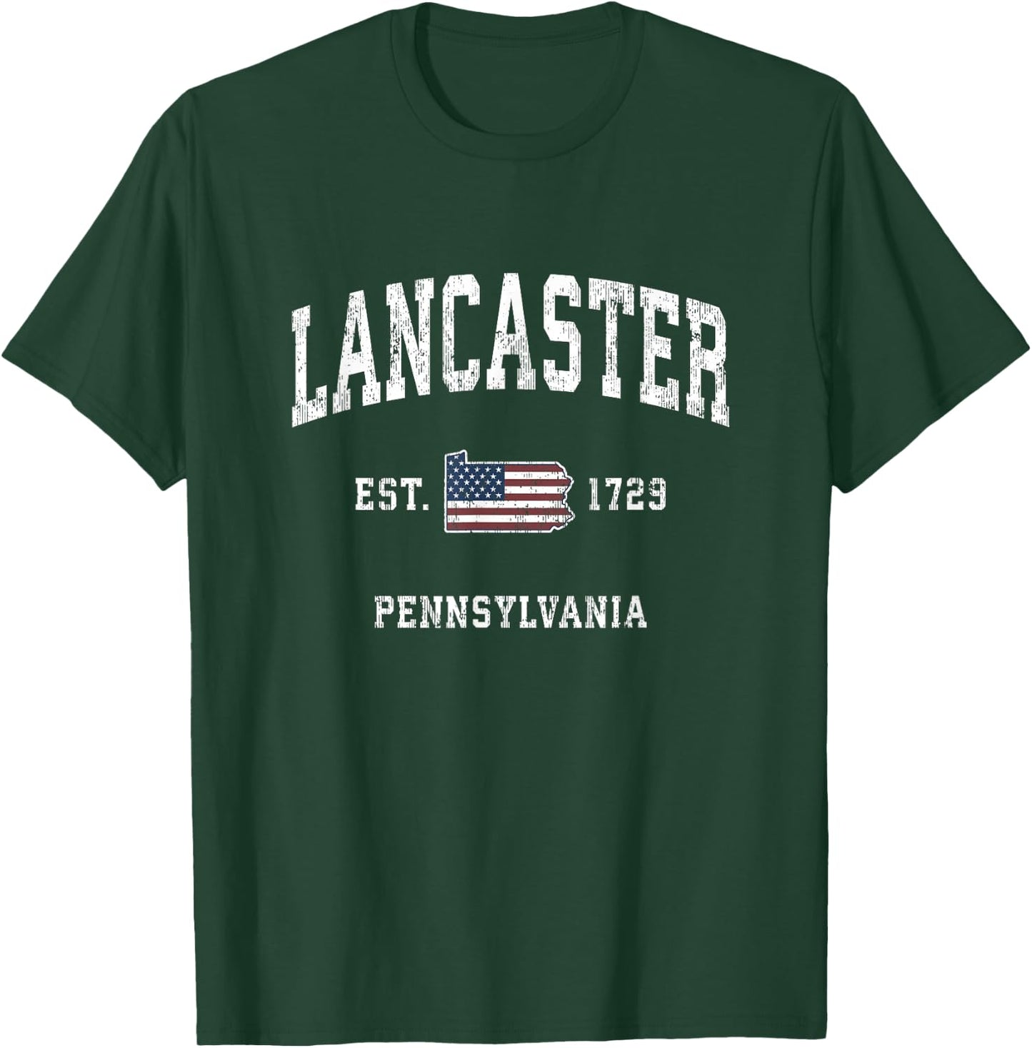 Lancaster Pennsylvania PA Vintage American Flag Sports Desig T-Shirt - T-Shirt | Forest