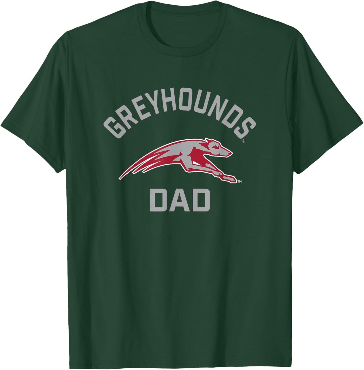 University of Indianapolis UIndy Greyhounds Arched Dad T-Shirt - T-Shirt | Forest