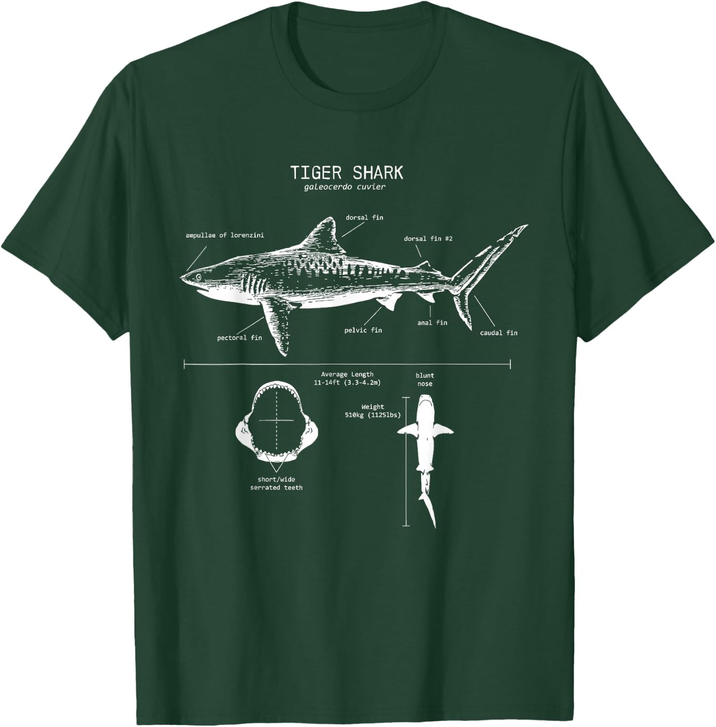 Tiger Shark Anatomy | Marine Biologist T-Shirt - T-Shirt | Forest