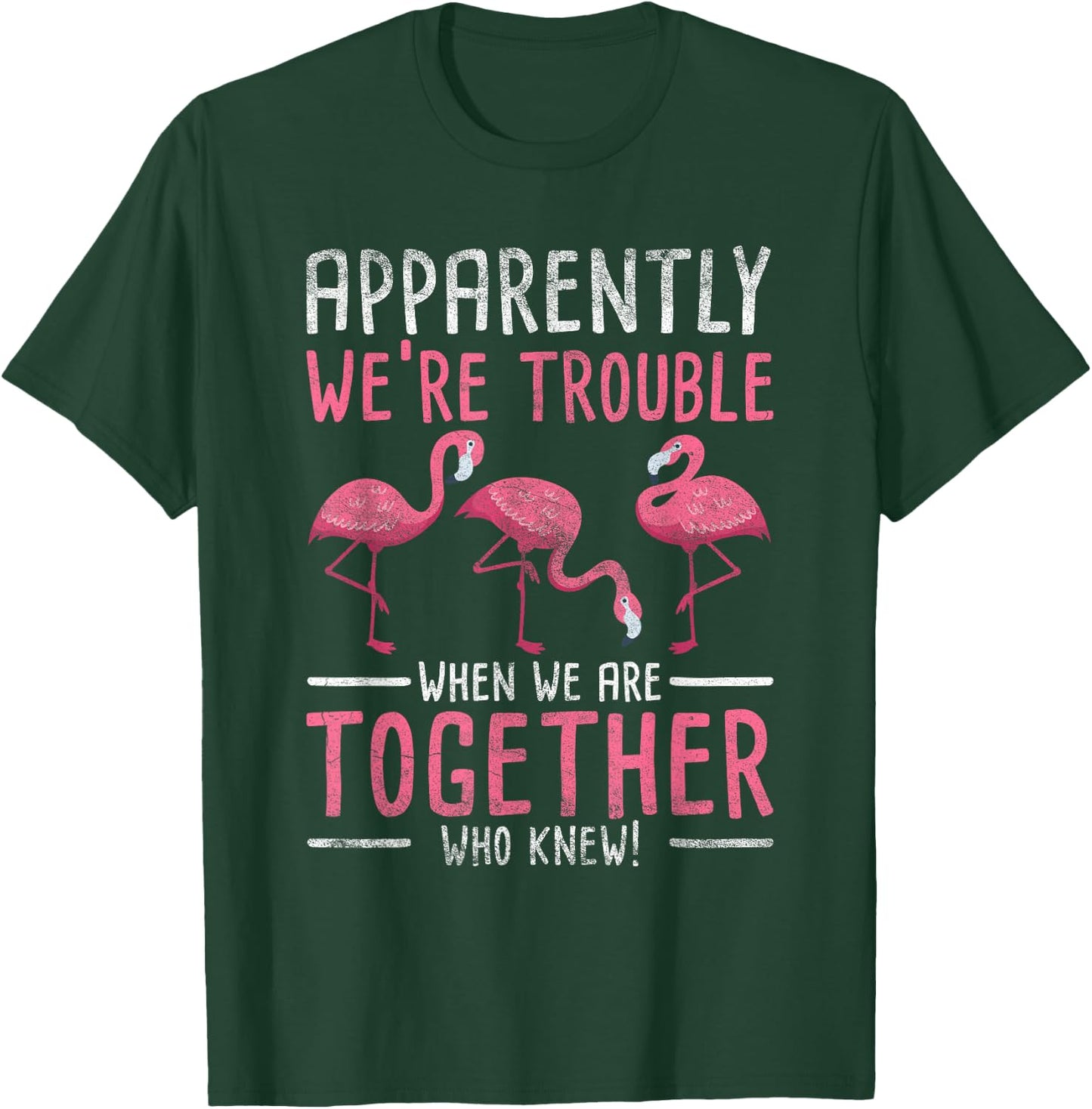 Apparently We Are Trouble Flamingo T-Shirt - T-Shirt | Forest