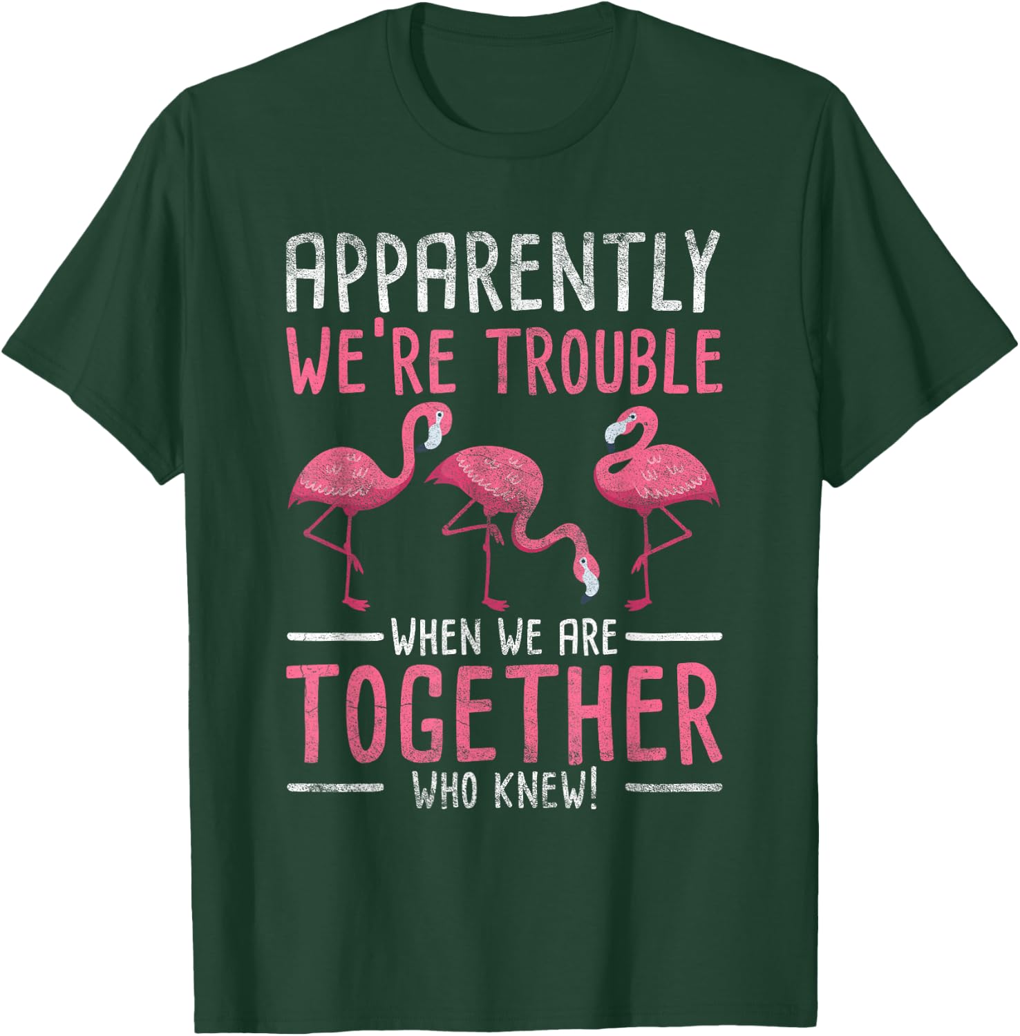 Apparently We Are Trouble Flamingo T-Shirt - T-Shirt | Forest