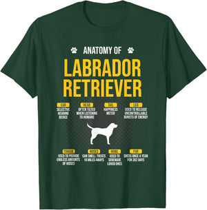 Anatomy Of Labrador Retriever Dog Lover T-Shirt - T-Shirt | Forest