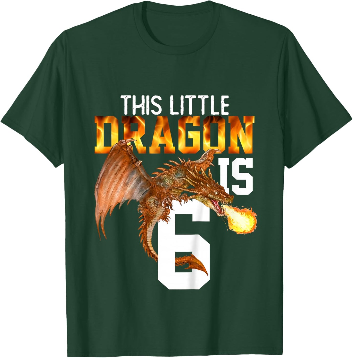 Turning 6 Year Old Birthday Gift Boy Dragon 6th Bday Girl T-Shirt - T-Shirt | Forest
