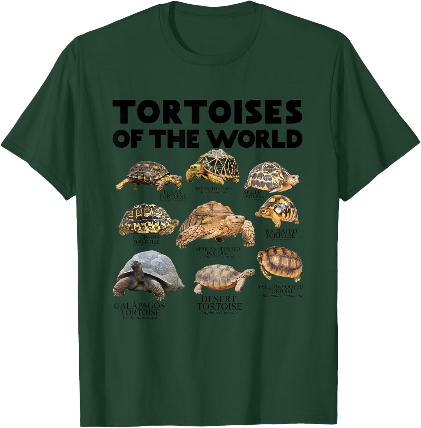Tortoises of The World Turtles Lover Save The Tortoises T-Shirt - T-Shirt | Forest