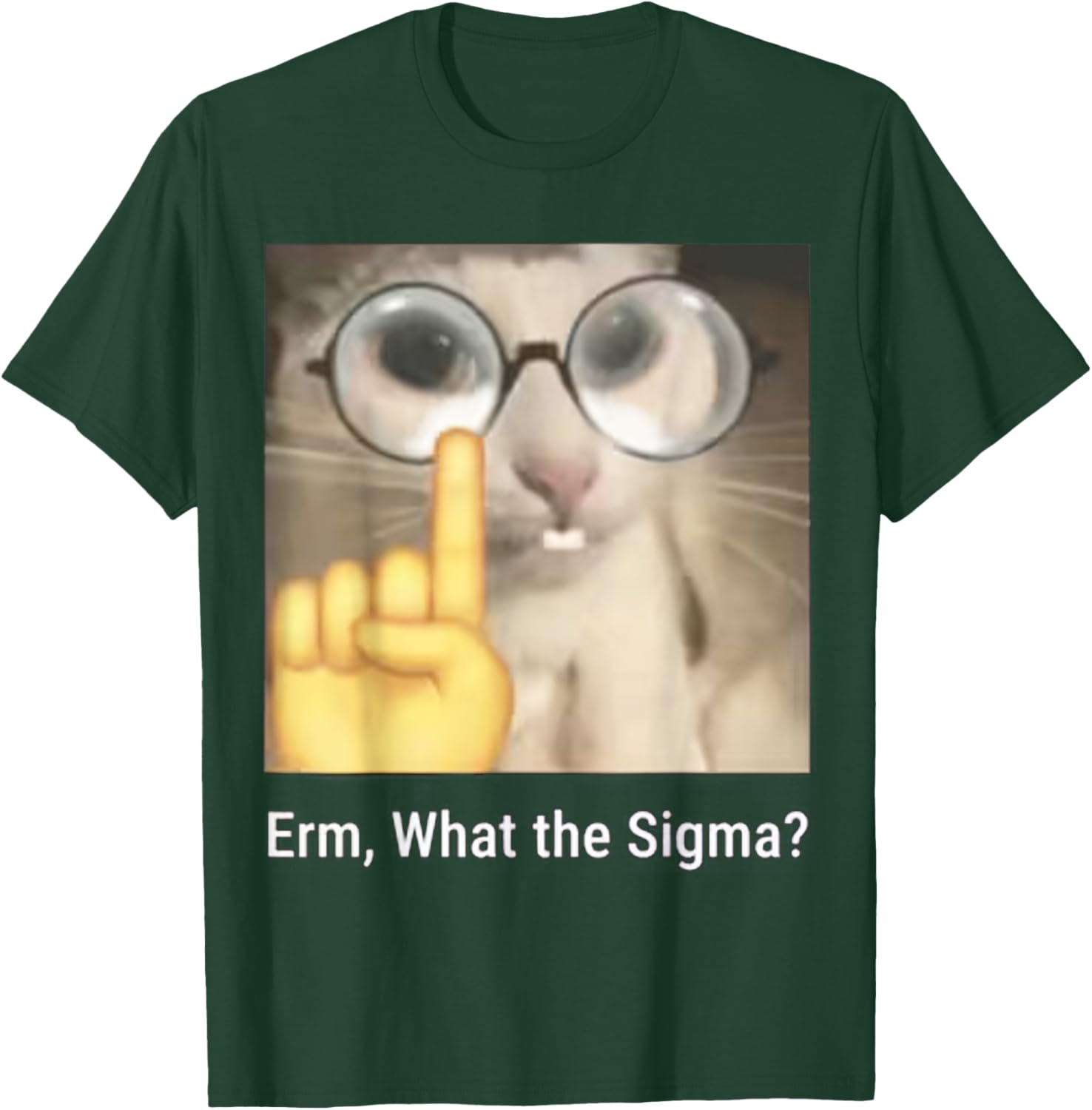 Erm, What The Sigma? Cat Meme Funny T-Shirt - T-Shirt | Forest