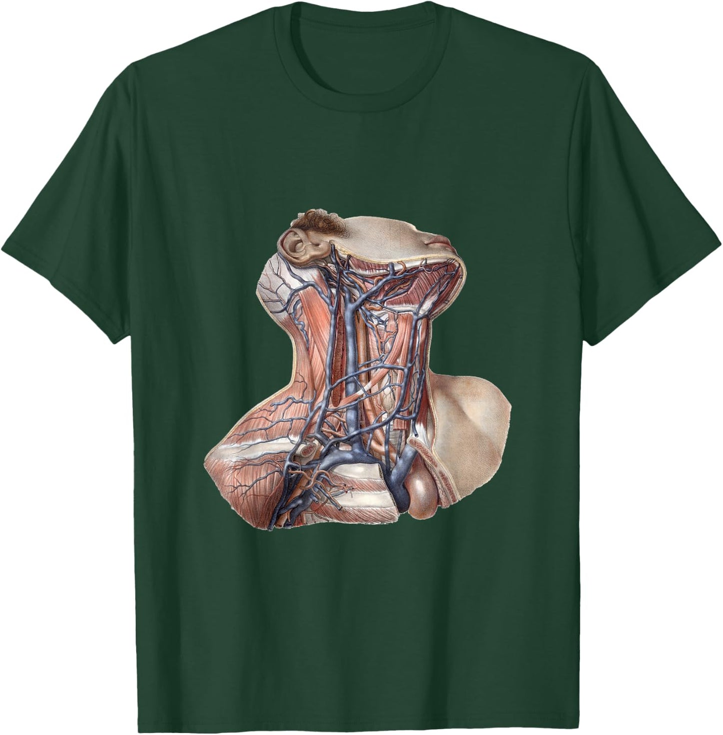 Vintage Human Anatomy Neck and Throat with Veins T-Shirt - T-Shirt | Forest