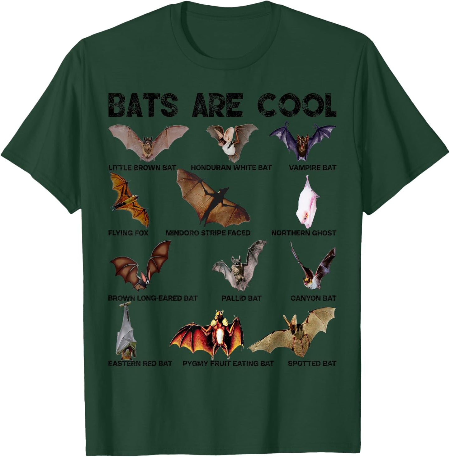 Bats are cool Great Lovely Bat kinds shirts women T-Shirt - T-Shirt | Forest