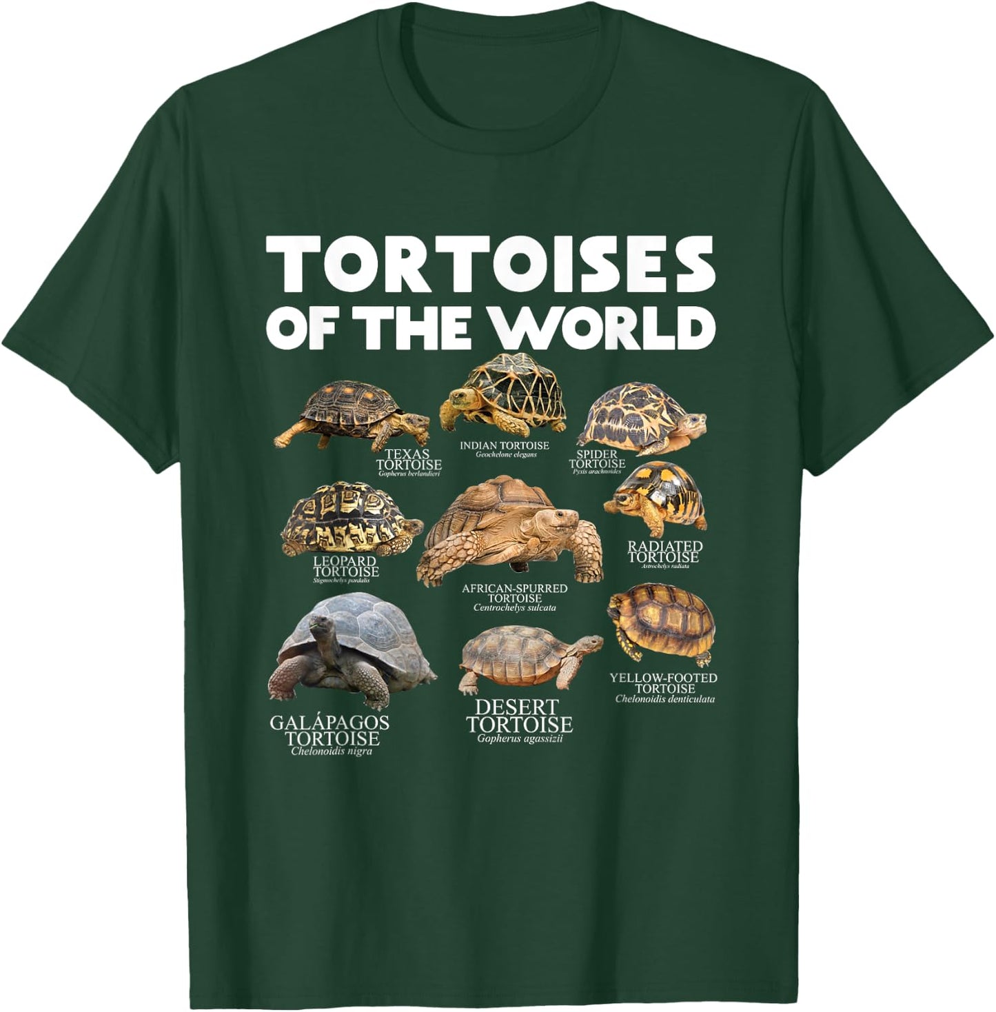 Tortoises Of The World Turtles Lover Save The Tortoises T-Shirt - T-Shirt | Forest