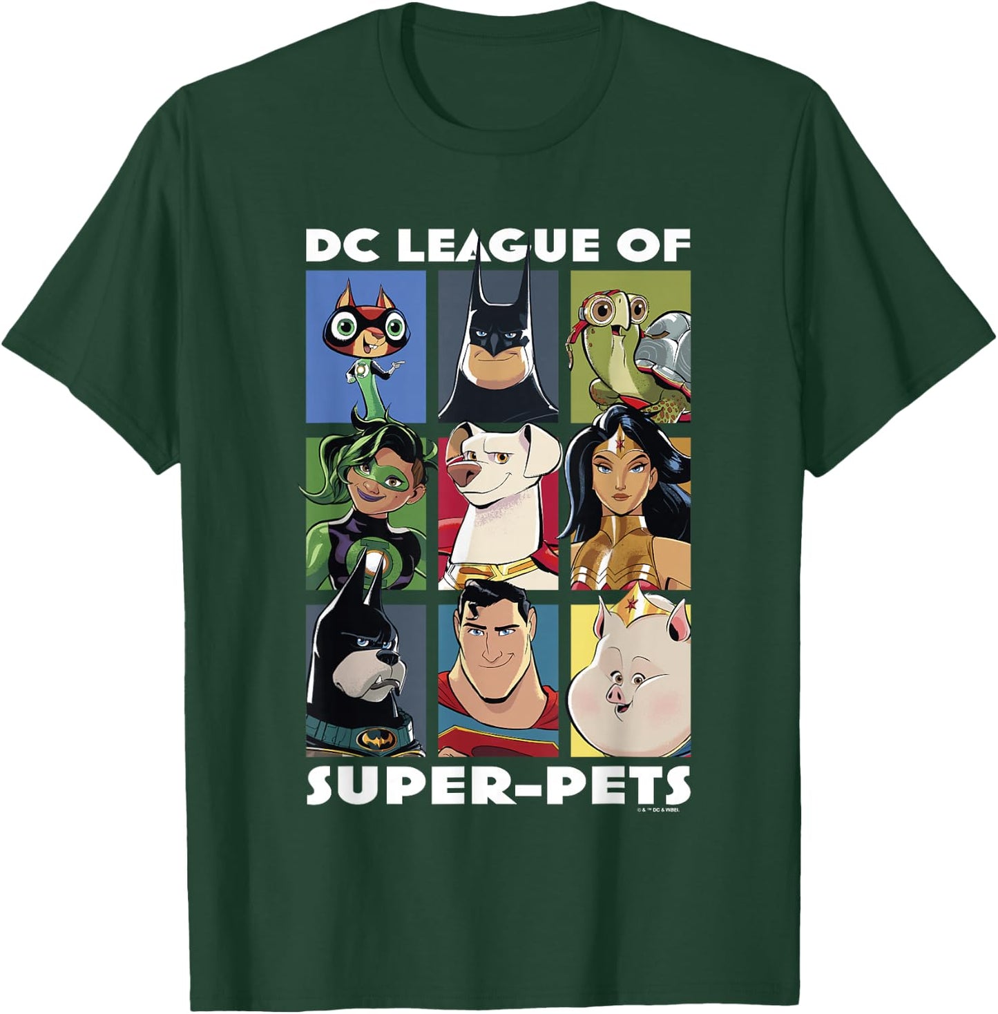 DC League of Super-Pets Heroes & Pets Grid Group Shot T-Shirt - T-Shirt | Forest