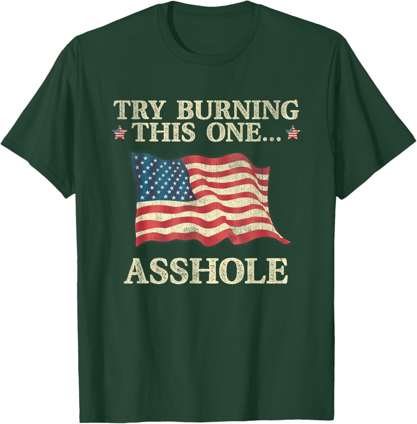 Try Burning This One Asshole American Flag Vintage Women Men T-Shirt - T-Shirt | Forest