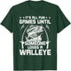 It's All Fun And Games Until Someone Loses A Walleye Fishing T-Shirt - T-Shirt | Forest