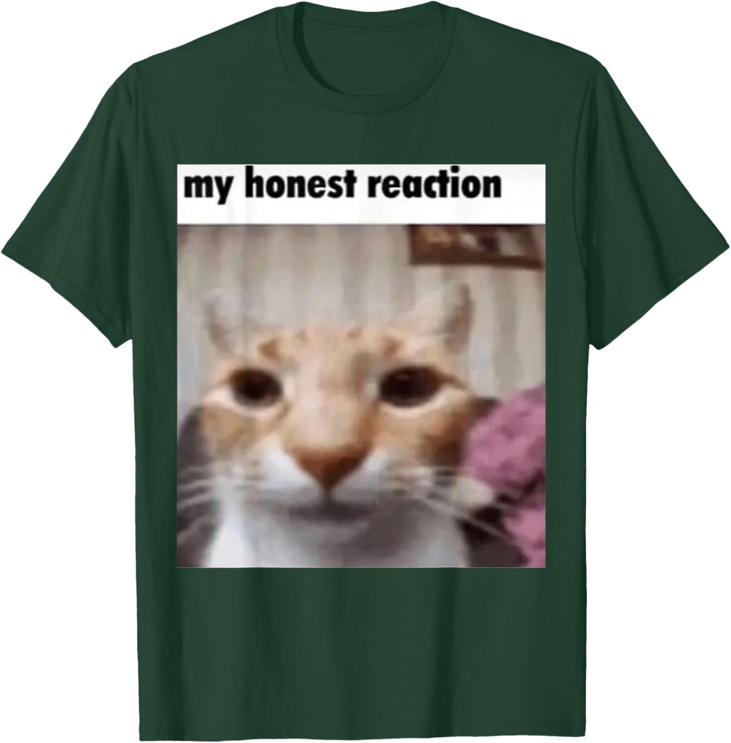 My Honest Reaction Cat Funny Meme Men Women Girls Kids T-Shirt - T-Shirt | Forest