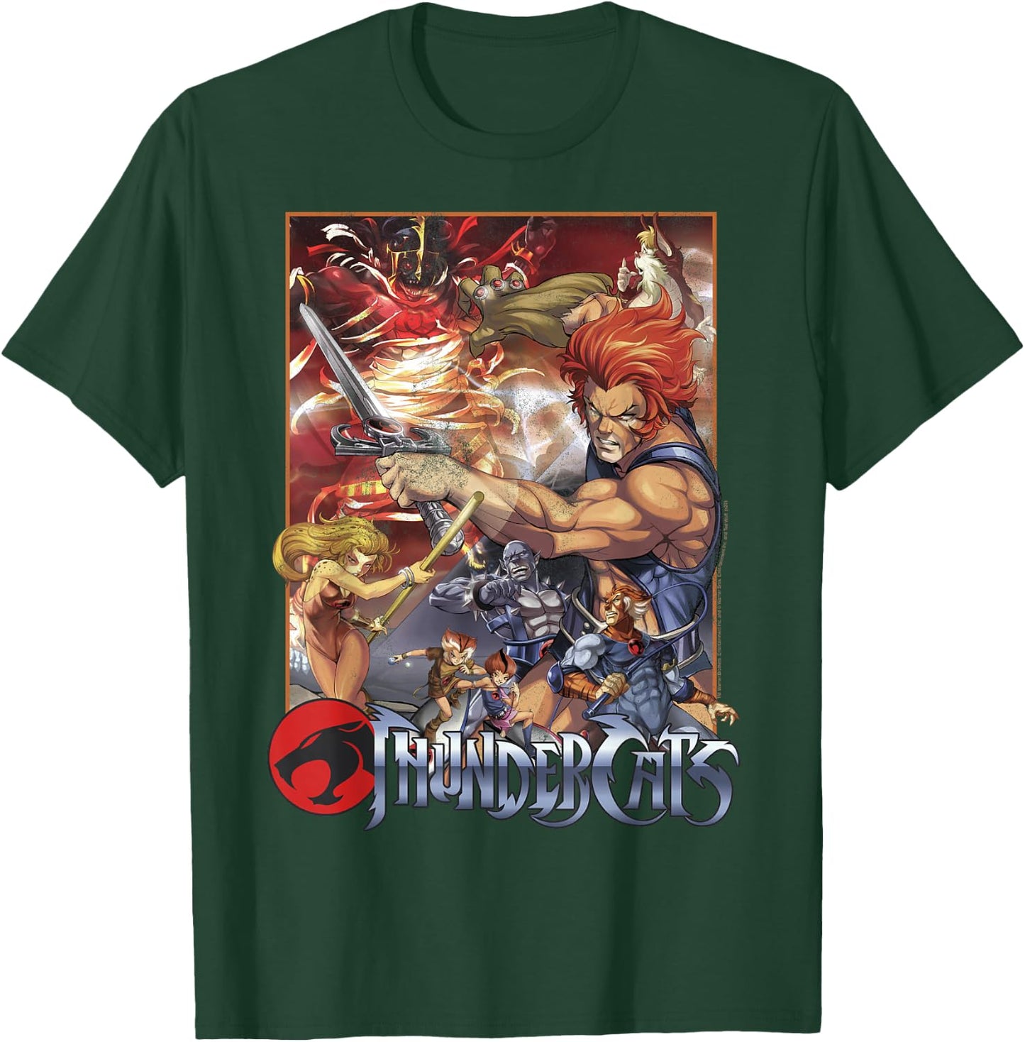 ThunderCats Adult Vintage , Black, Short Sleeve, Small T-Shirt - T-Shirt | Forest