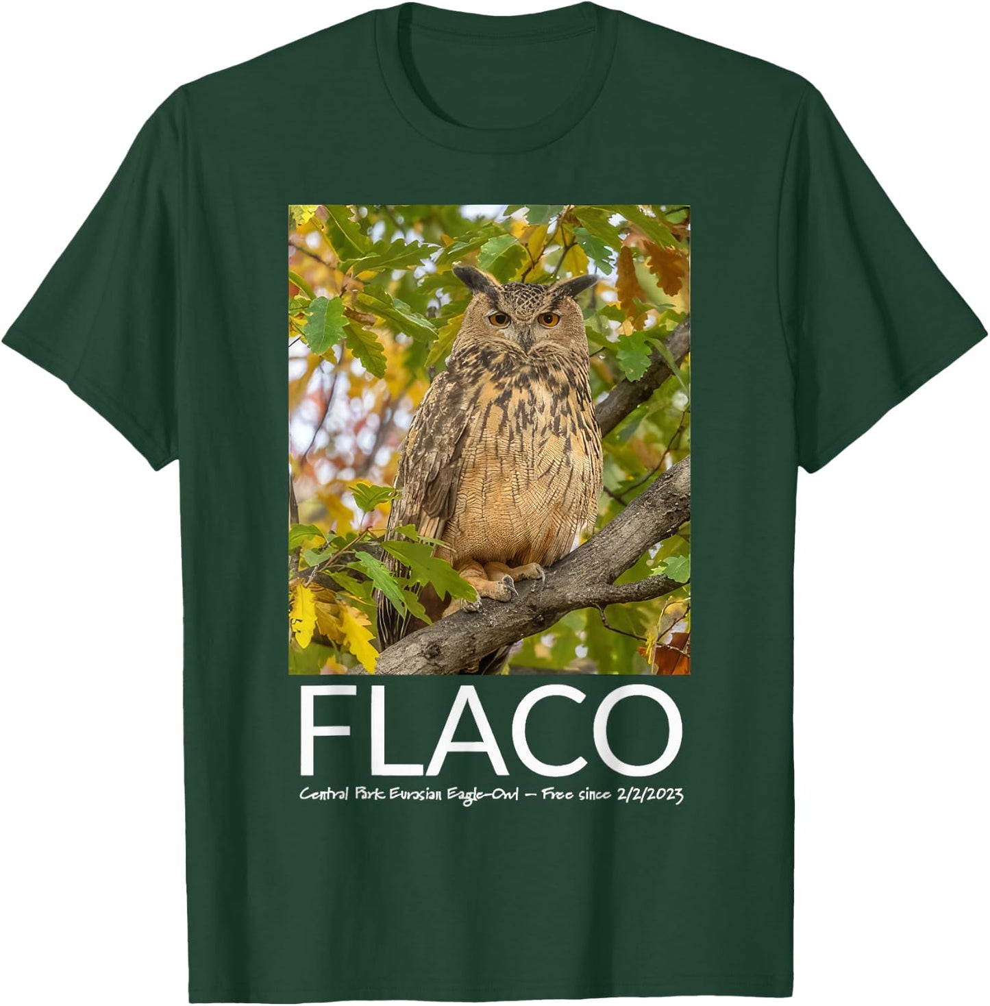 Flaco the Owl Escaped Owl T-Shirt - T-Shirt | Forest