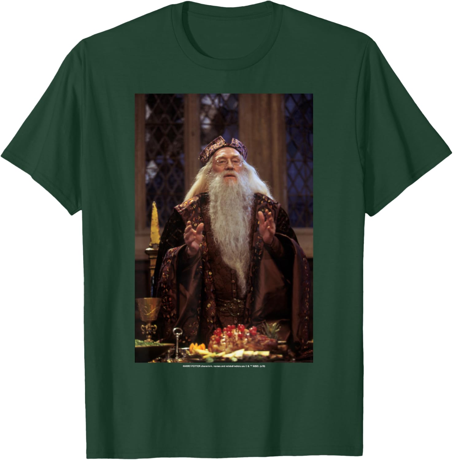 Harry Potter Professor Dumbledore Poster T-Shirt - T-Shirt | Forest