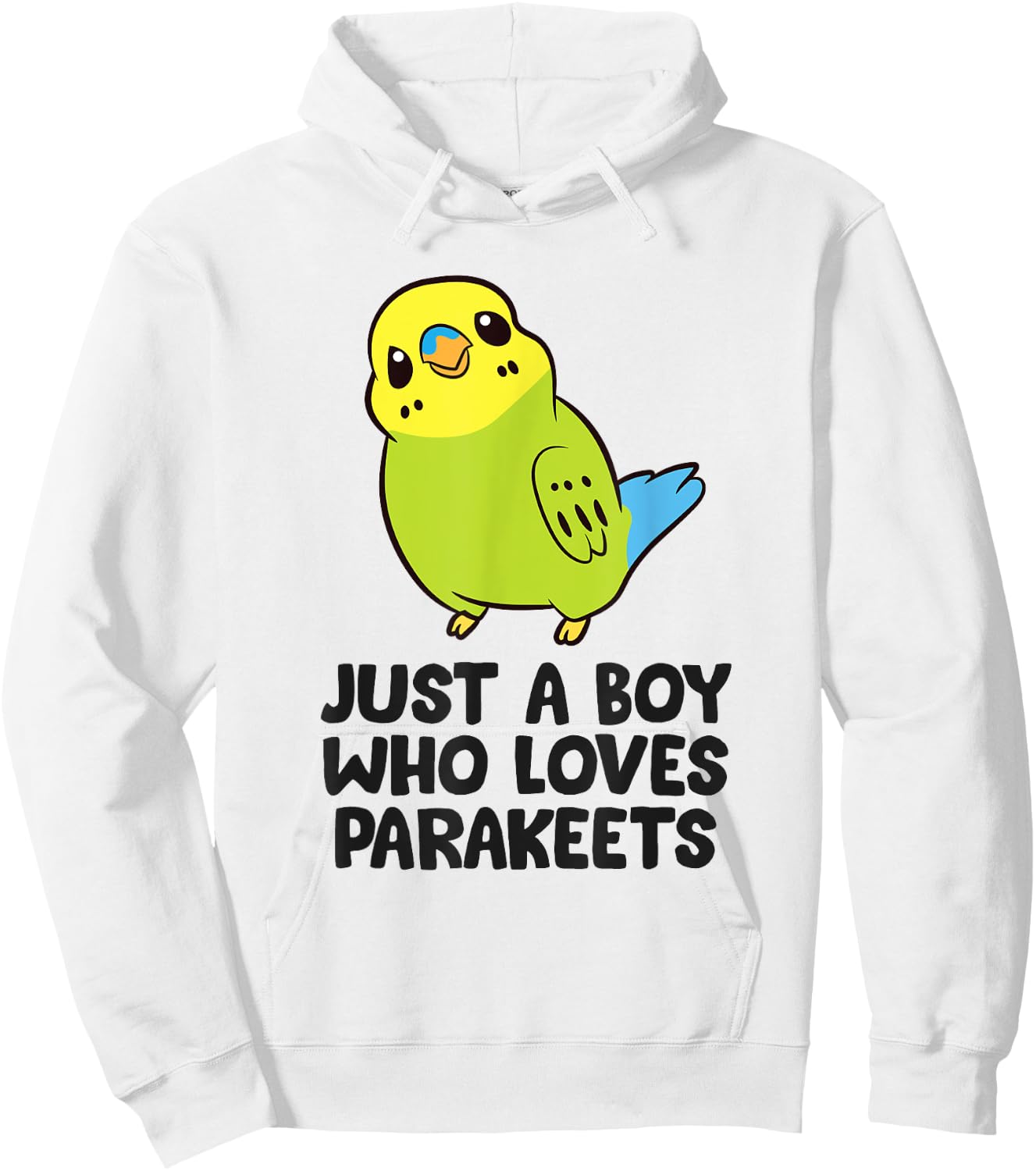 Parakeet Boy Just a Boy Who Loves Parakeets Hoodie - Hoodie | White