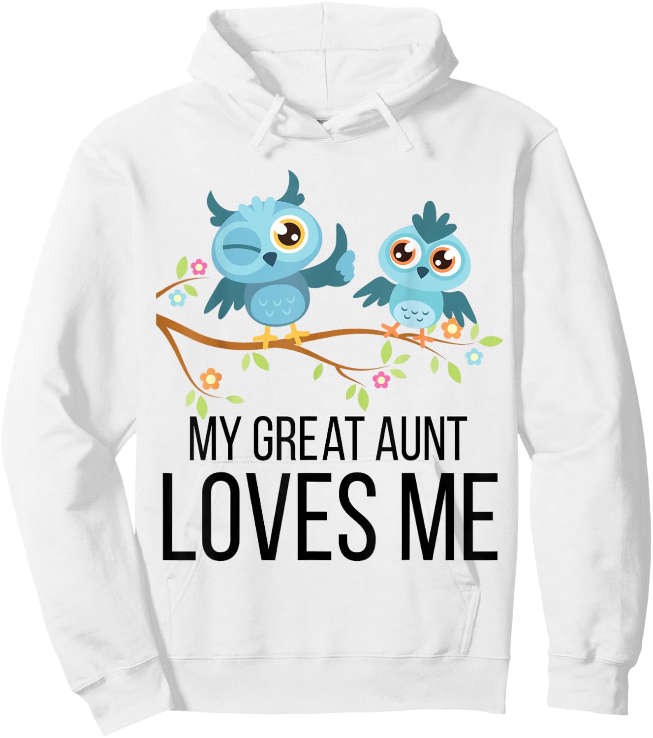 Gift Niece or Nephew | Blue Owls My Great Aunt Loves Me Hoodie - Hoodie | White