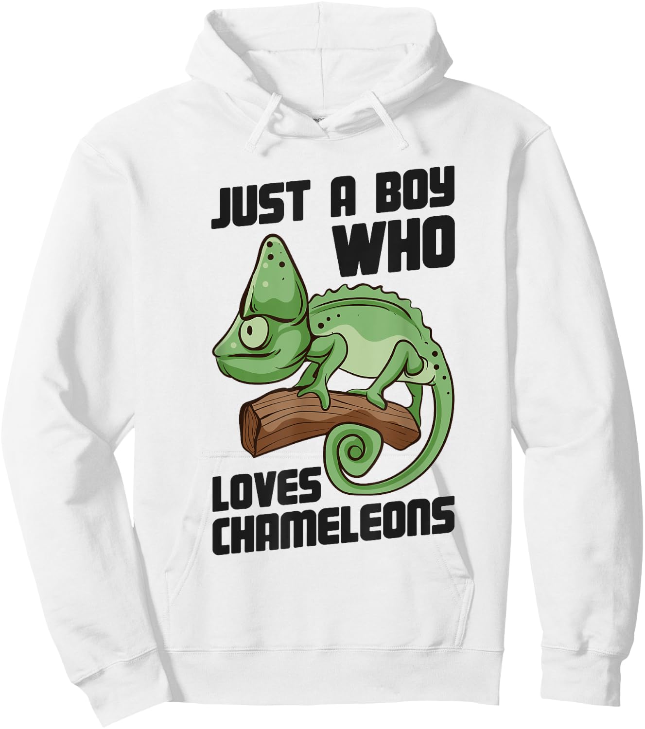 Cute Lizard Chameleon Just a Boy Who Loves Chameleons Hoodie - Hoodie | White