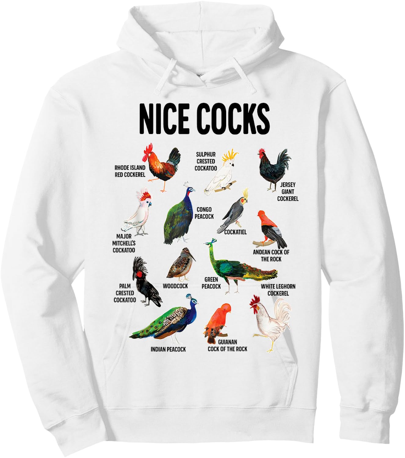 Nice Cocks Pun Adult Joke Funny Bird Lover Birdwatcher Hoodie - Hoodie | White