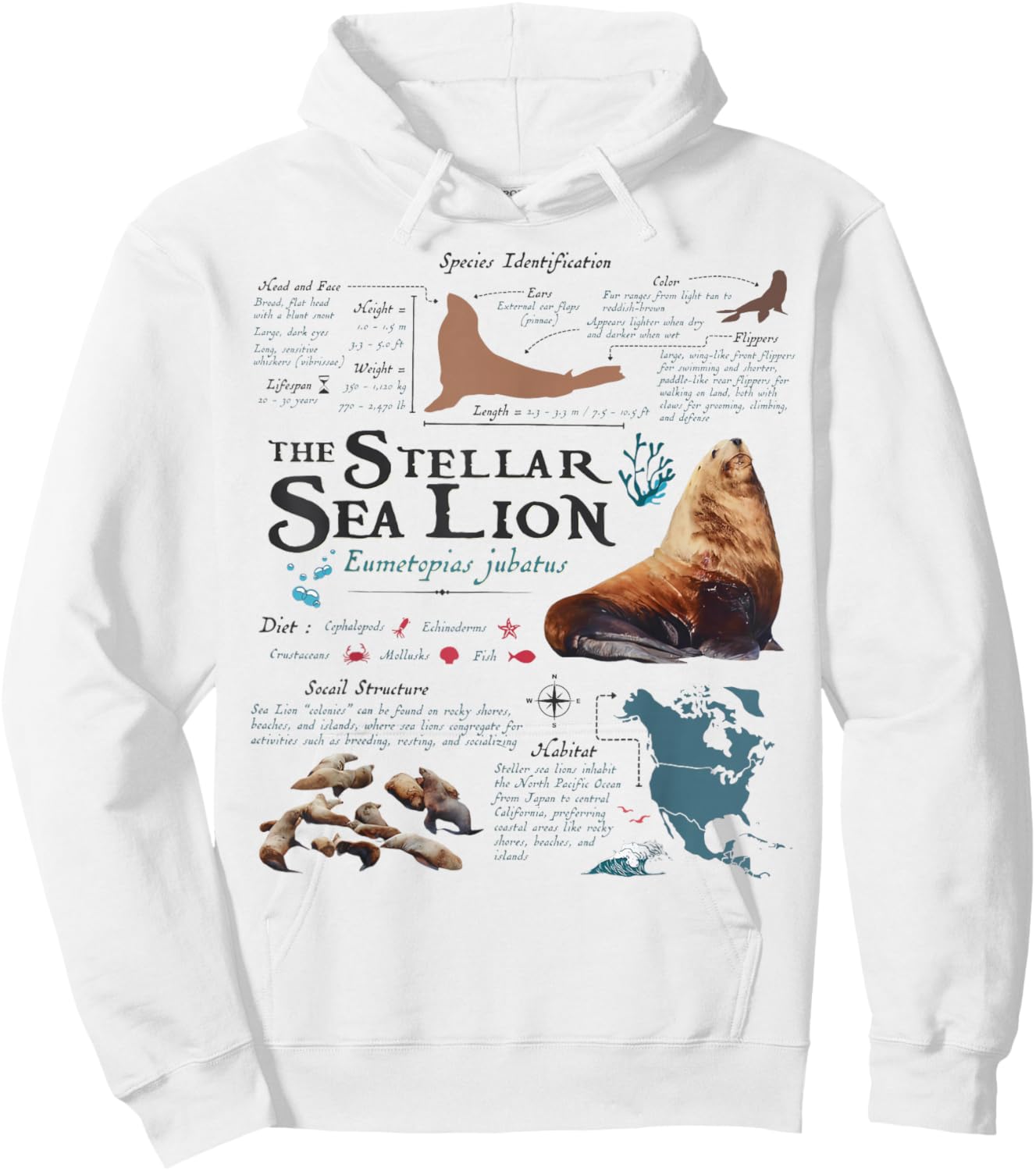 Vintage Stellar Sea Lion Anatomy Retro 90s Marine Biology Hoodie - Hoodie | White