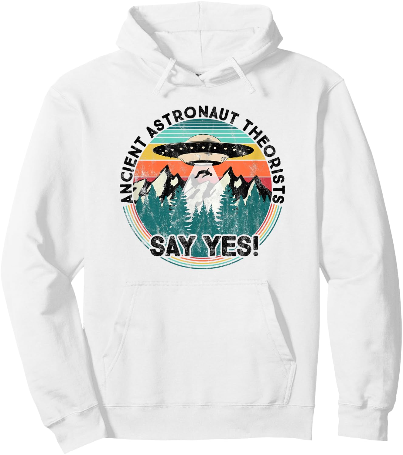Ancient Astronaut Theorists Say Yes - Aliens Hoodie - Hoodie | White
