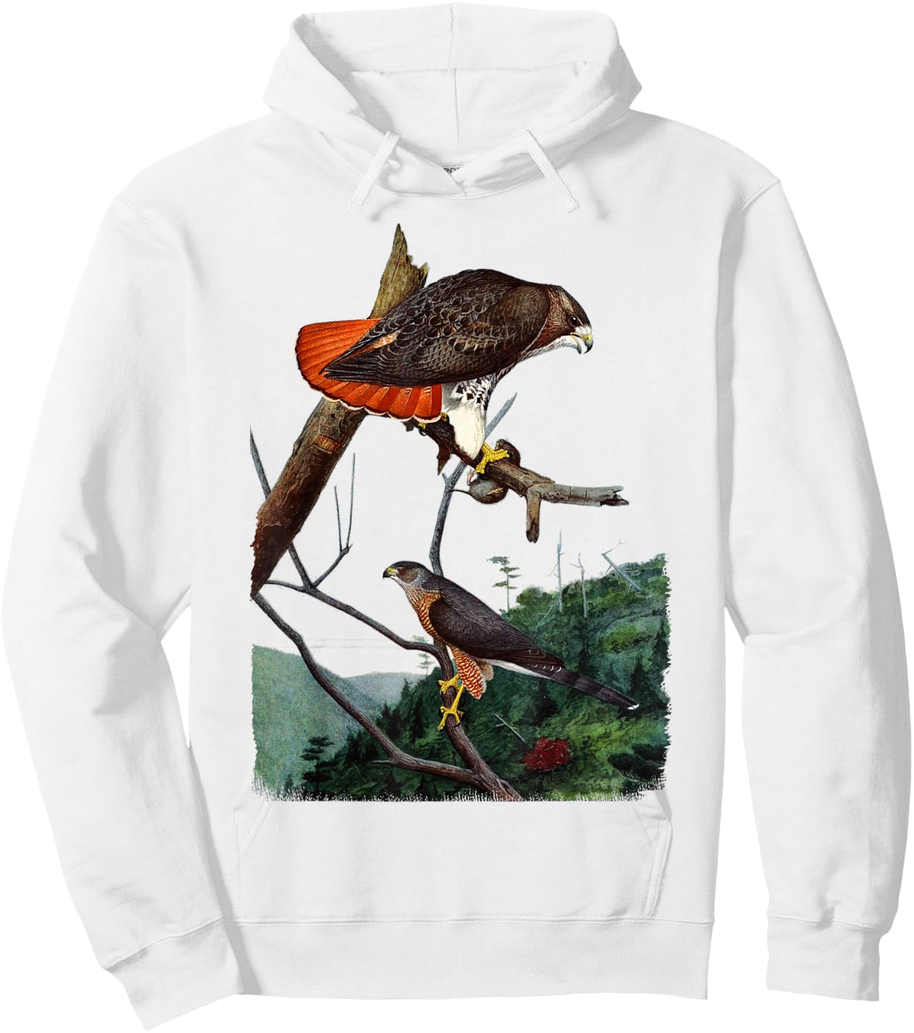 Red Tailed Hawk Red-Tailed Hawk Birder Gift Hoodie - Hoodie | White