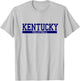 Kentucky Volleyball T-Shirt - T-Shirt | Ash