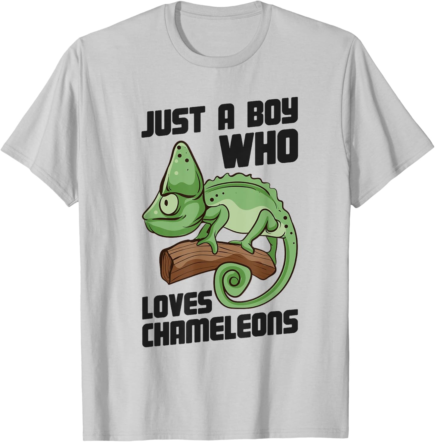 Cute Lizard Chameleon Just a Boy Who Loves Chameleons T-Shirt - T-Shirt | Ash