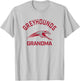 University of Indianapolis UIndy Greyhounds Arched Grandma T-Shirt - T-Shirt | Ash