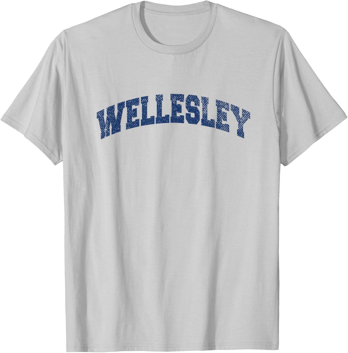 Wellesley Massachusetts Varsity Style Vintage Grey T-Shirt - T-Shirt | Ash