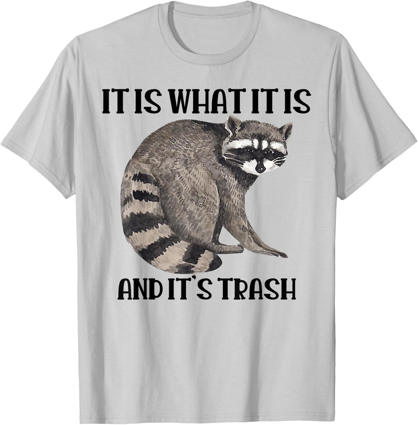 Raccoon It Is What It Is And It's Trash T-Shirt - T-Shirt | Ash