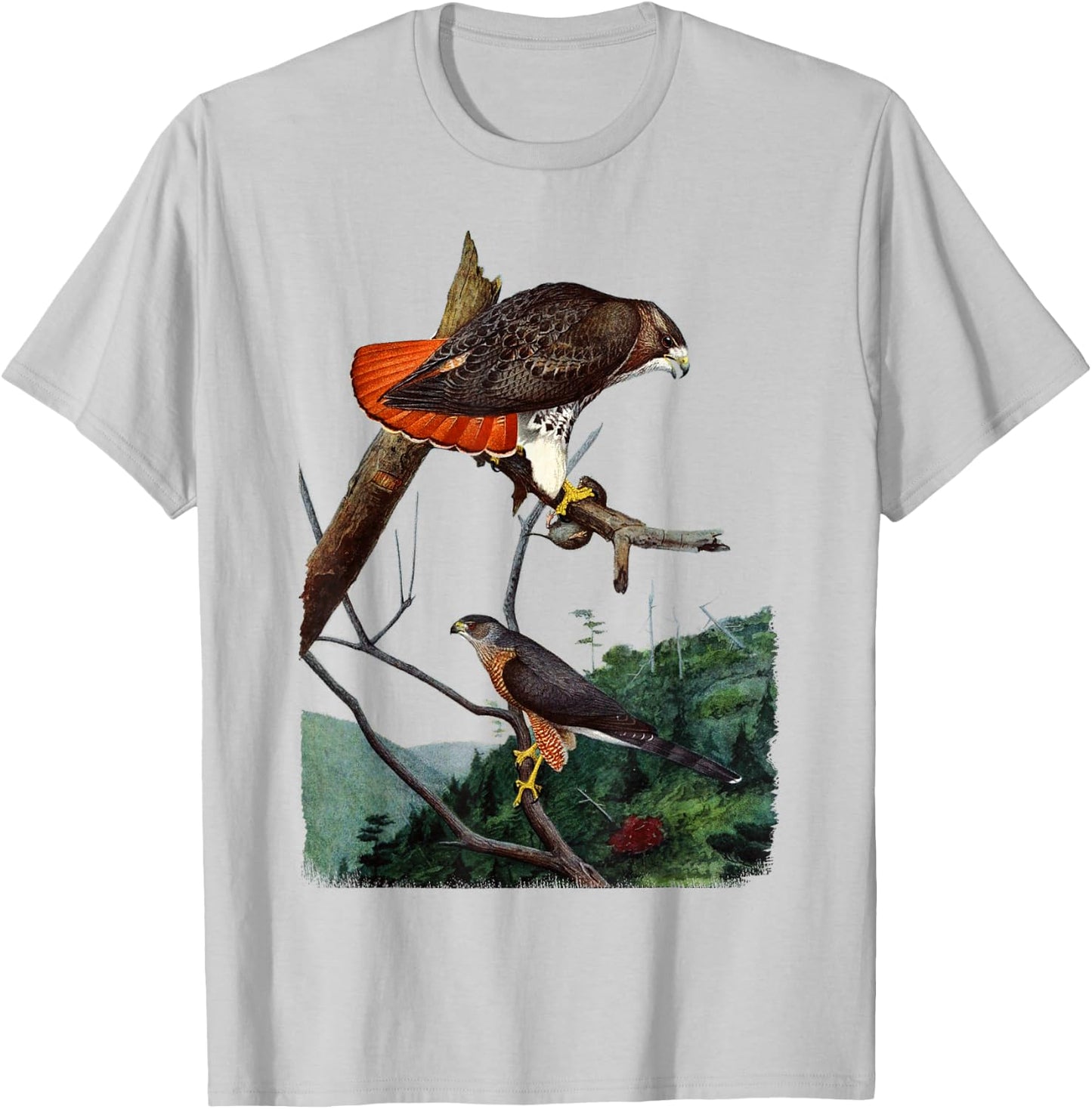 Red Tailed Hawk Red-Tailed Hawk Birder Gift T-Shirt - T-Shirt | Ash