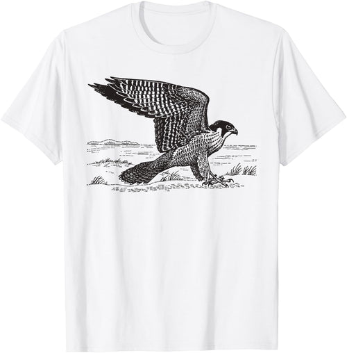 Peregrine Falcon Ornithology Hawk Gift