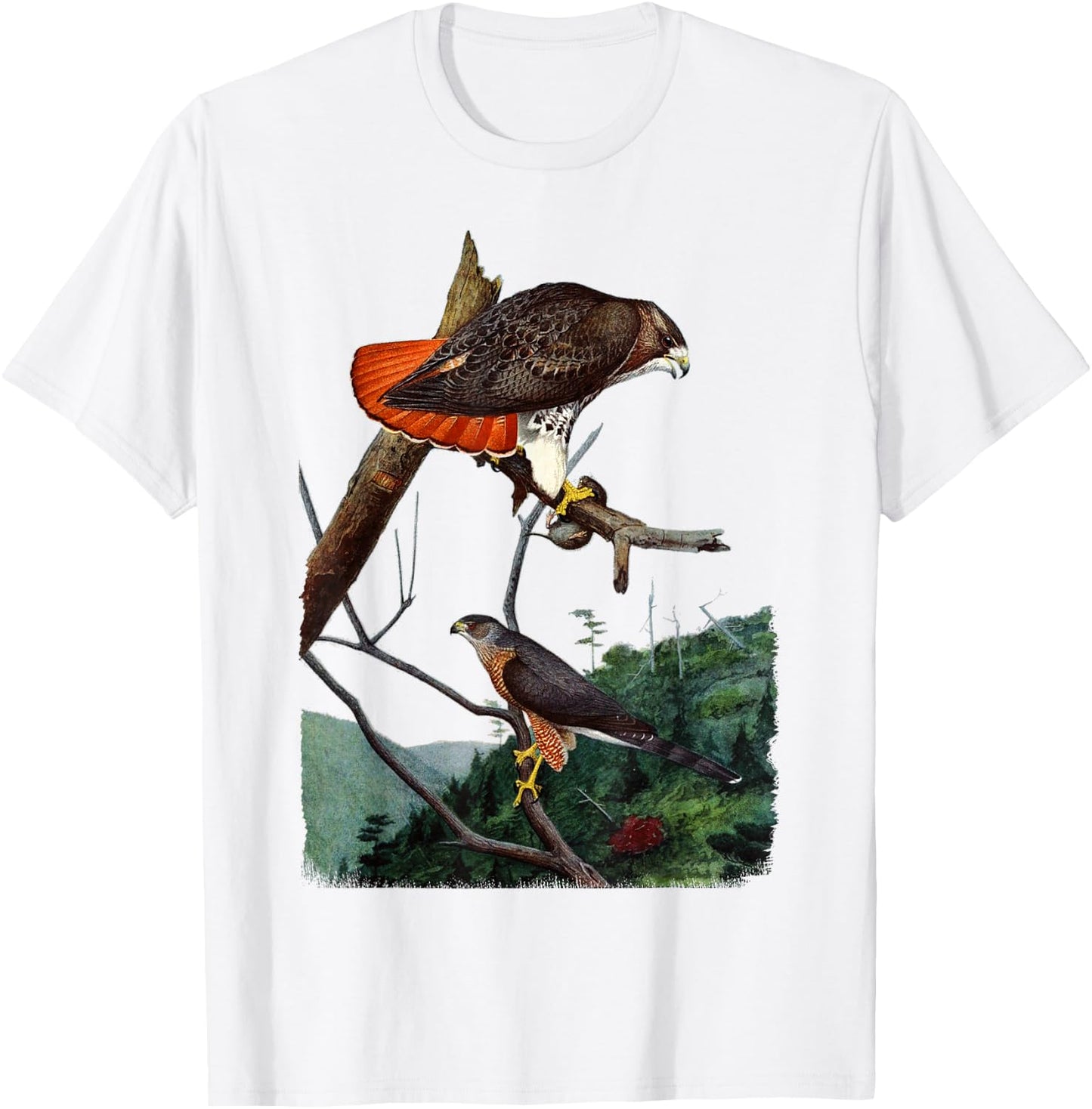 Red Tailed Hawk Red-Tailed Hawk Birder Gift T-Shirt - T-Shirt | White