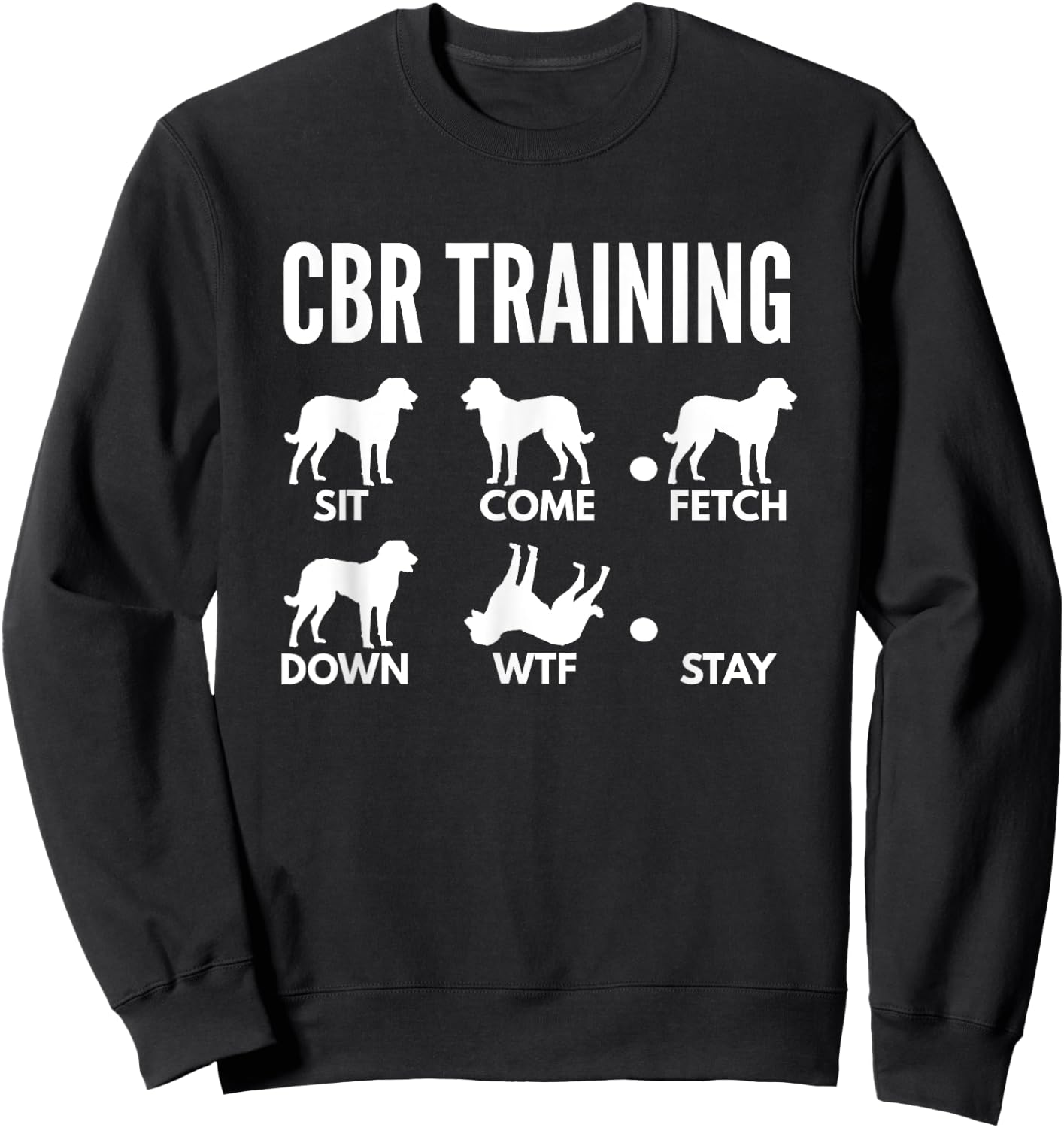 CBR Training for Chesapeake Bay Retriever Owners Sweatshirt - Sweatshirt | Black