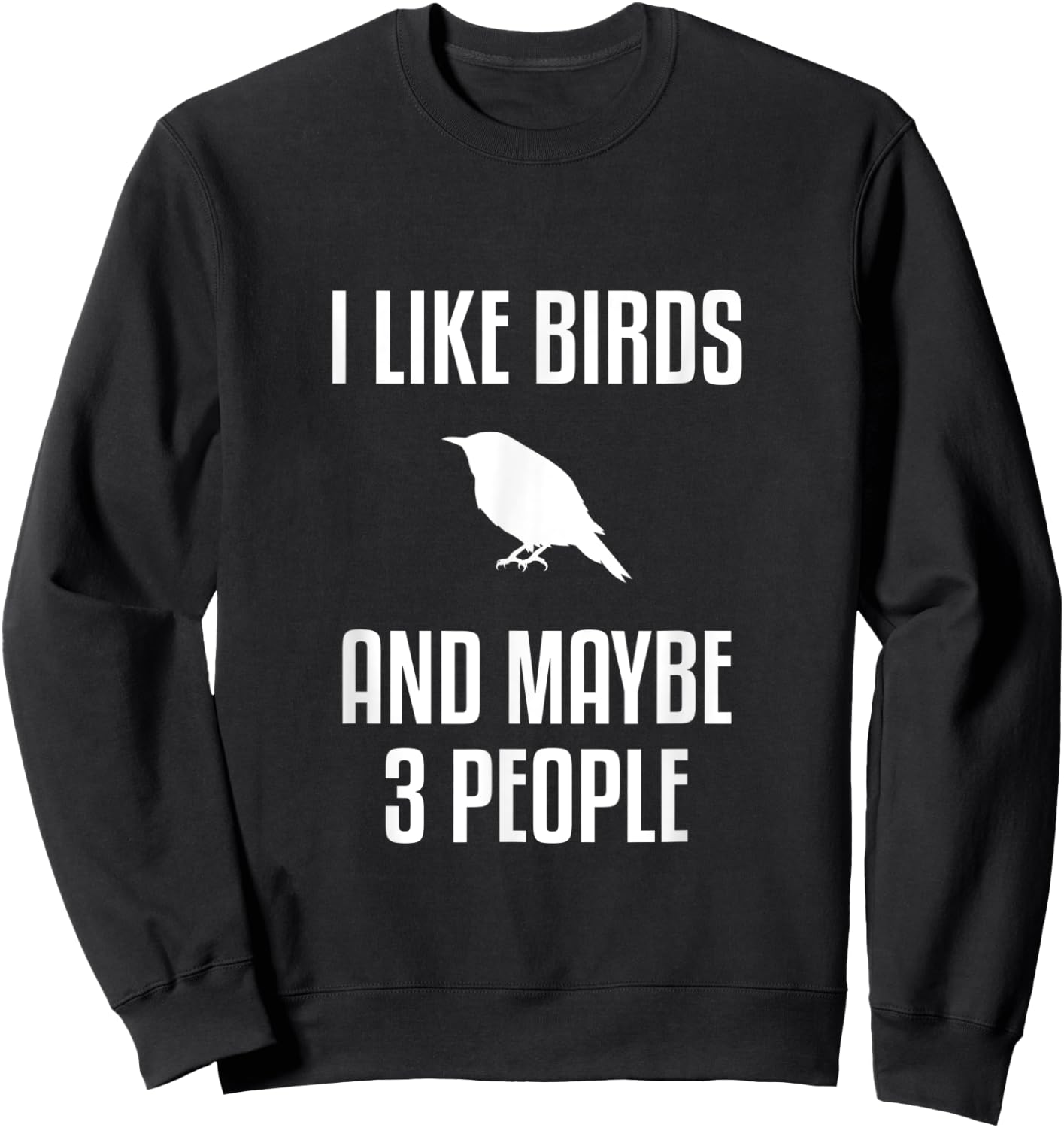 I Like Birds And Maybe 3 People Shirt Birdwatching Sweatshirt - Sweatshirt | Black